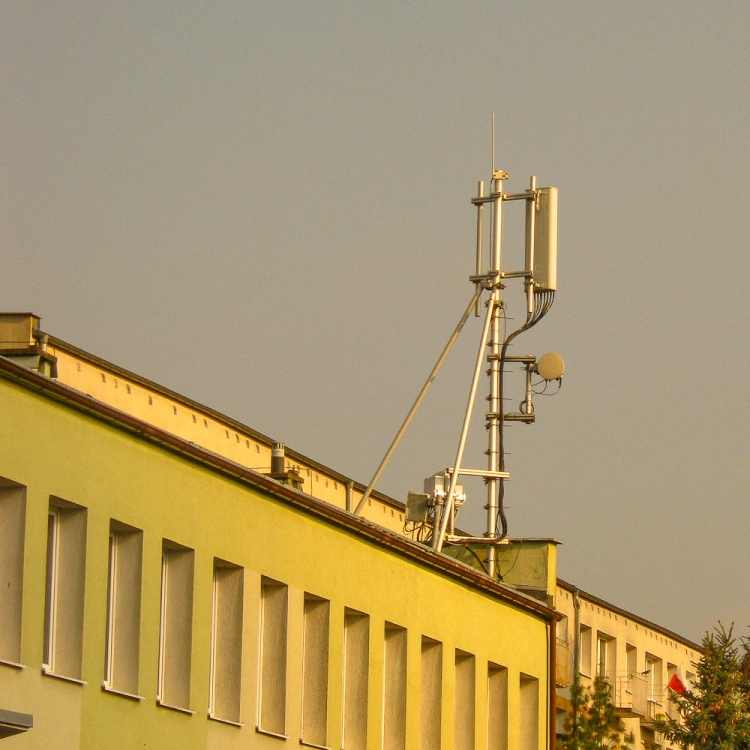 canon a490 14.jpg