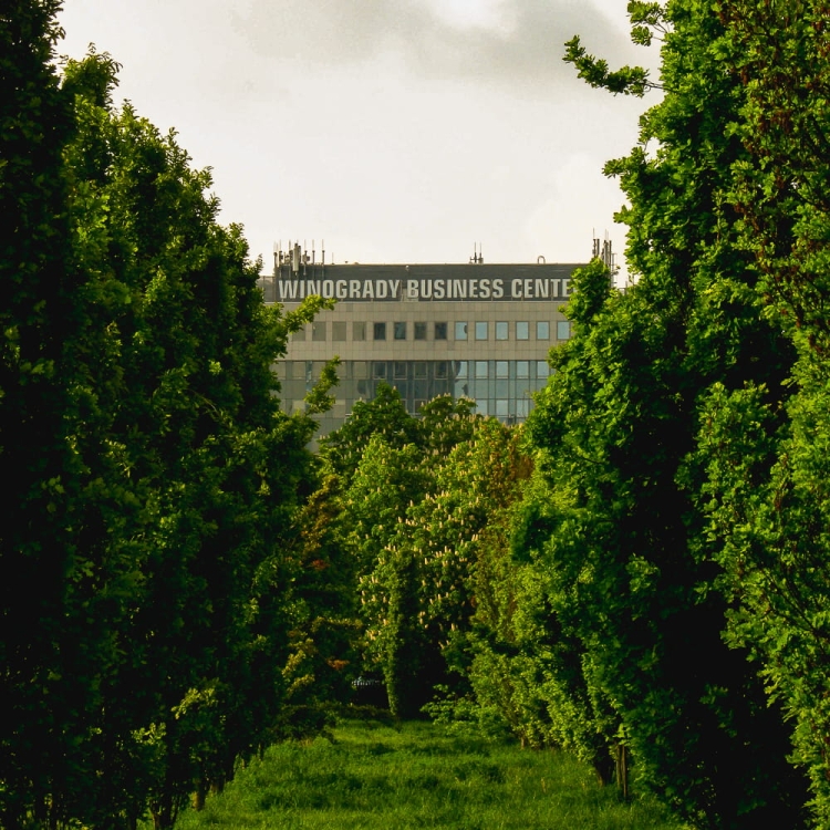 canon a490 24.jpg