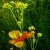 canon a490 34.jpg