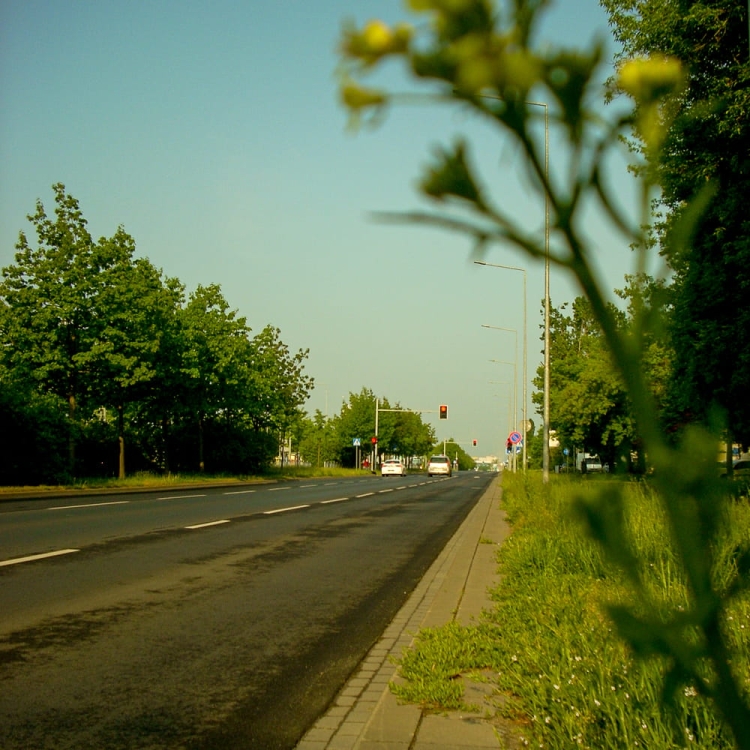 nikon L11 17.jpg
