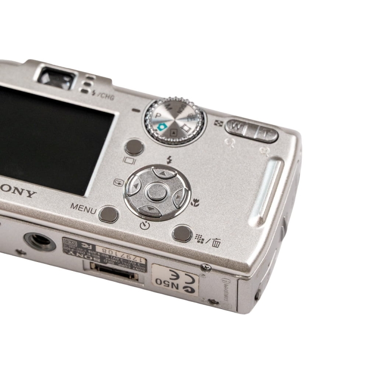 Sony P100 -10.jpg