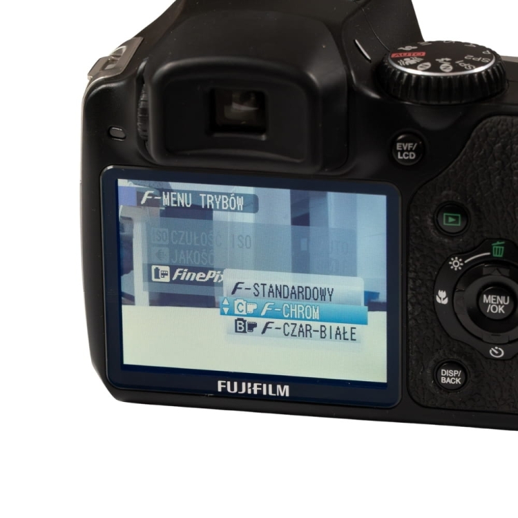 Fujifilm S8000 -20.jpg